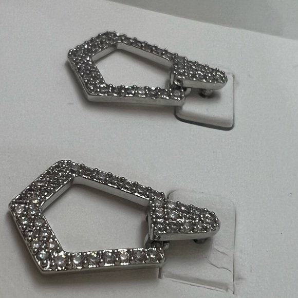 Express Earrings - Picture 4 of 6